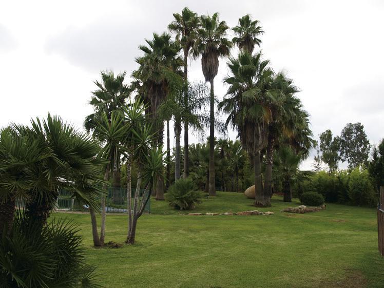 Hotel Valencia Golf Bétera Zewnętrze zdjęcie